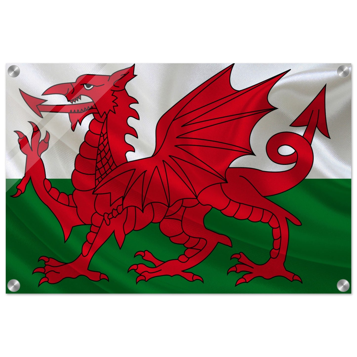 Welsh Flag -  Acrylic Print