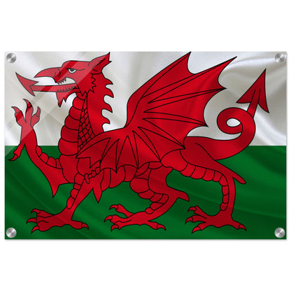 Welsh Flag -  Acrylic Print