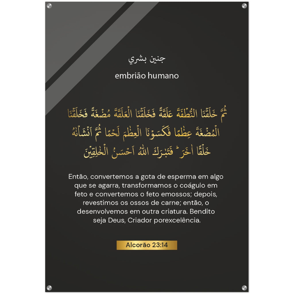 Human Embryo 3rd -embrião humano  Quran in Spanish Acrylic Print